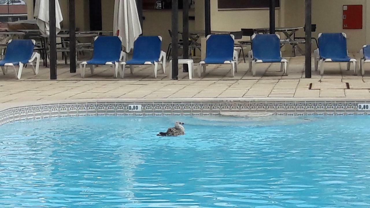 Apartamento Bela Vista Albufeira Eksteriør billede